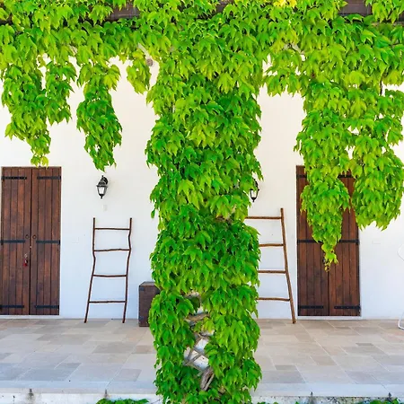 Bed & Breakfast Shanti (adults Only)