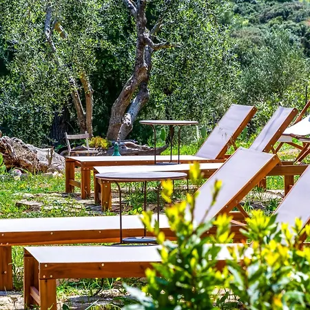 Bed & Breakfast Shanti (adults Only) Vieste