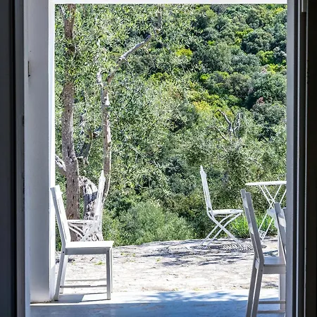 Bed & Breakfast Shanti (adults Only)