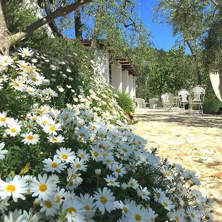Bed & Breakfast Shanti (adults Only) Vieste